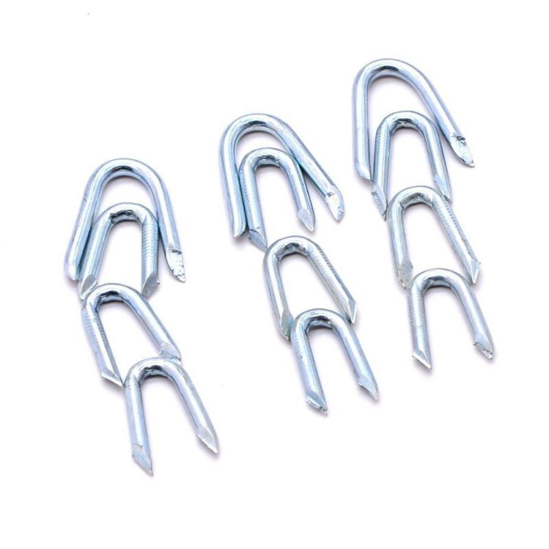 Vietnam Philippines Singapore Market/Electro Galvanized U Type Nails for Fence Staples
