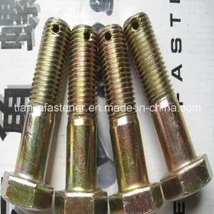 Hex Bolts with Split Pin Hole on Shank