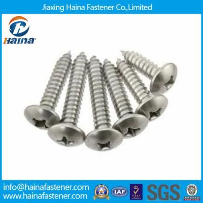 Jiaxing Haina Stainless/Carbon Steel Truss Head Self Tapping Screw