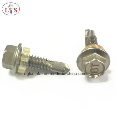 Stainless Steel Screws/Ss304 Hex Head Self-Drilling Screw with Plastic Washer