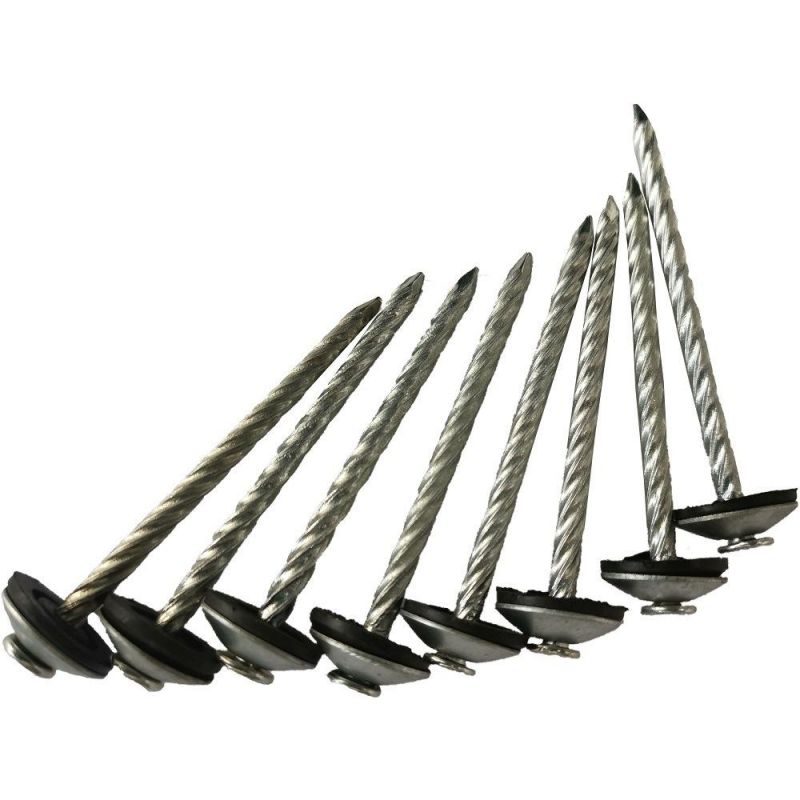 Factory Direct Wholesale Roofing Nail with Different Size