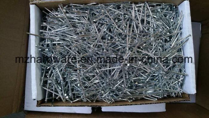 High Quality Galvanized Surface Nail Finishing Nail Carpentry Nail