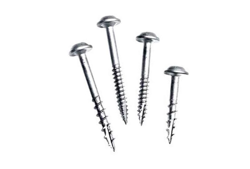 Made in China High Quality Stainless Steel Self Tapping Wood Screws