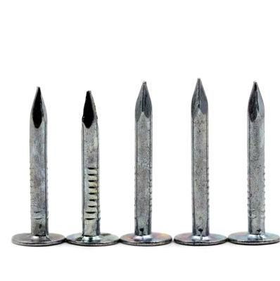 Polished Big Flat Head Clout Nail for Construction