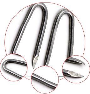 Galvanized U Type Fence SOD Staple / U Type Wire Nail