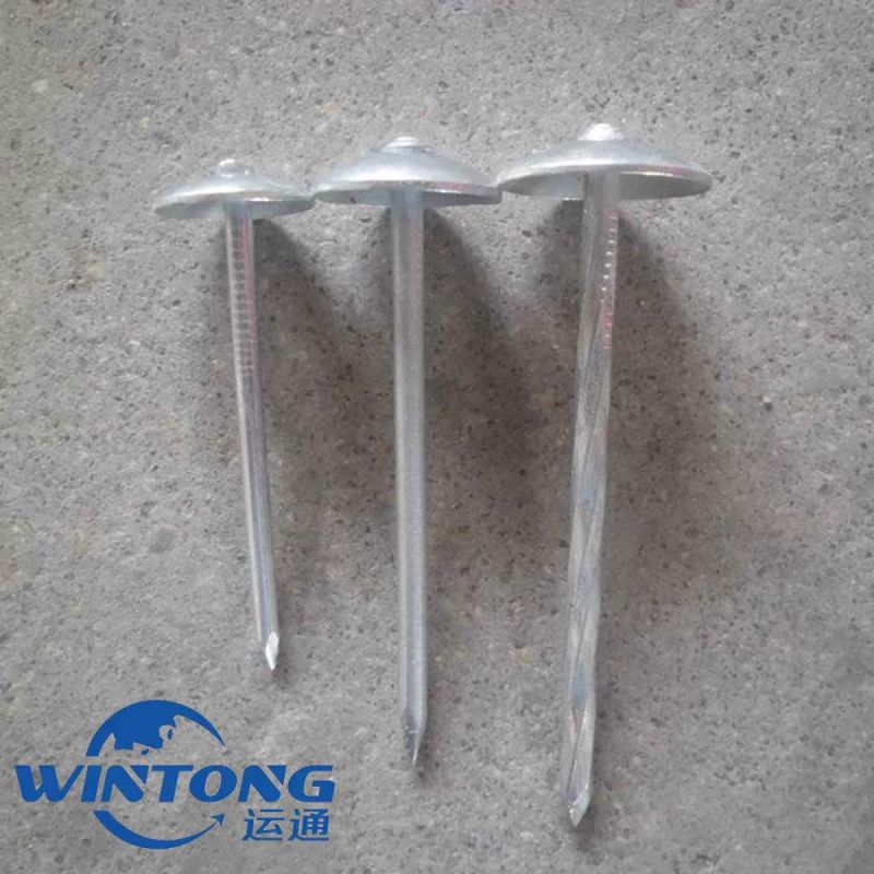High Quality Electro Galvanized Roofing Nail Umbrella Head Zinc Roofing Nail