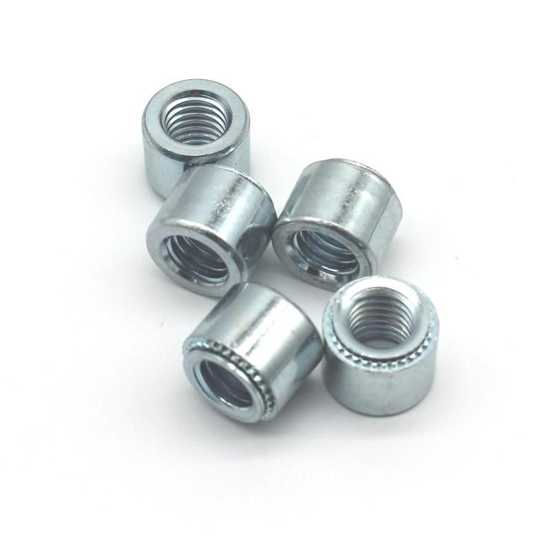 SS304 316 Pem Stainless Steel Self-Clinching Nuts Rivet Nuts Cls-M8-2/3