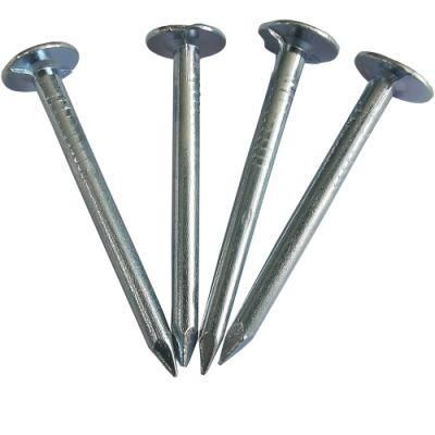 Good Quality Zinc Plated Clout Nail