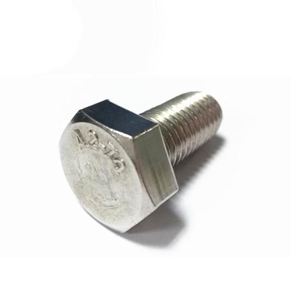 Stainless Steel All Kinds of Screws and Bolts