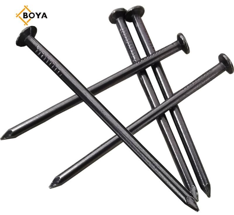 Top Quality Common Nails/Hardware/Galvanized/Hot Dipped Galvanized/Wood Nail for Construction