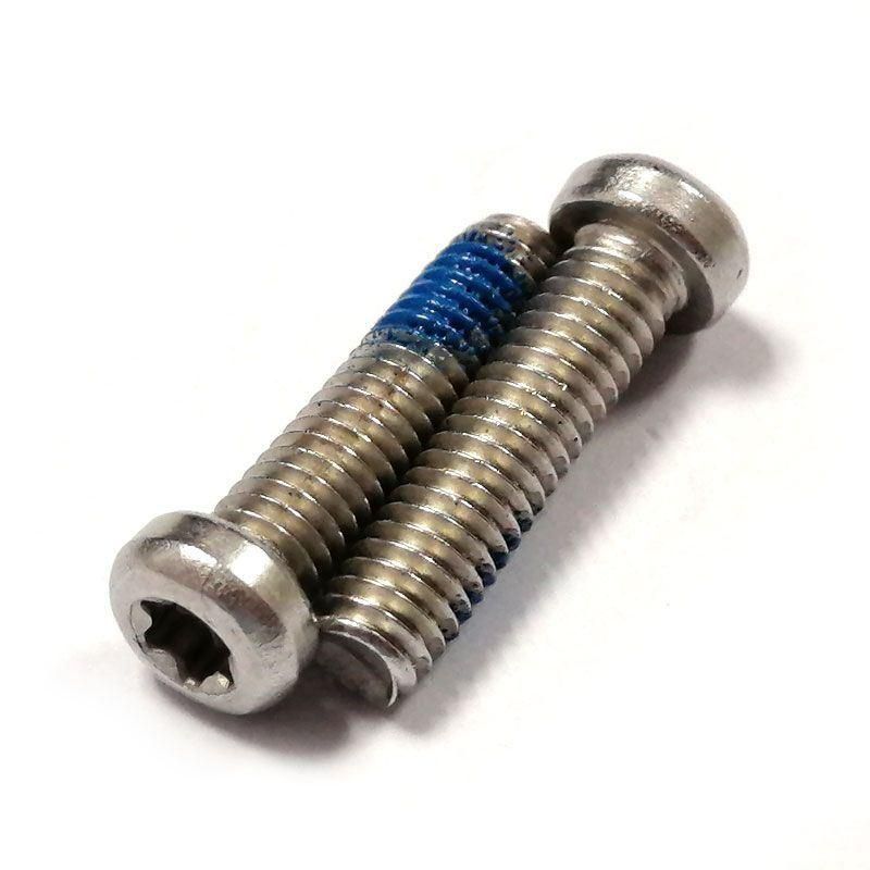 Stainless Steel 304 Pan Head Torx Machine Screw with Nylok Patch