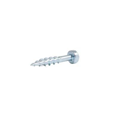 Wood Drywall Screw Box Screw Set Wood Screw