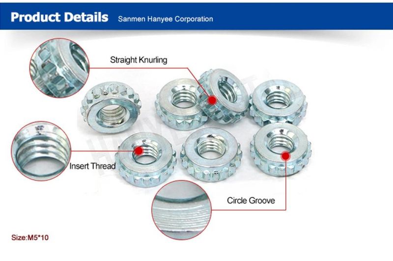 Popular Steel Oval Head Hollow End Rivet