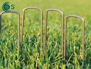 Excellent Quality U Shaped Staples/Turf Nails for Garden