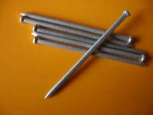 Squre Wire Nail for HotDip Galvanised