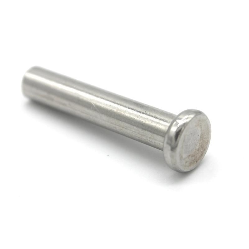 Solid Rivets/ Hollow Tubular Rivets/Semi Tubular Rivets Nuts Automative Fastener