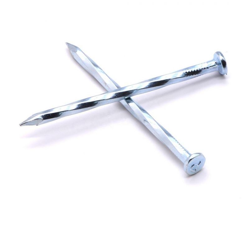 Concrete Nail Electro Steel Galvanized 10cm Nails Import From China