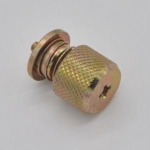 Self Clinching Captive Panel Fastener Assembly Screw (CZ168)