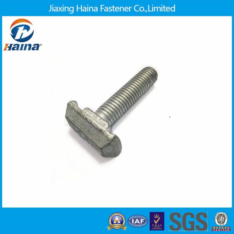 Stainless Steel 304 Grade 8.8 Hot Galvanizing T Bolt