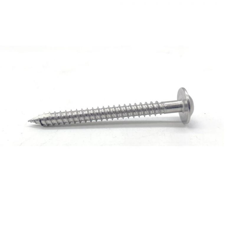 Stainless Steel 304 M3-M6 Phillips Big Pan Head Self Tapping Screws for Plastic