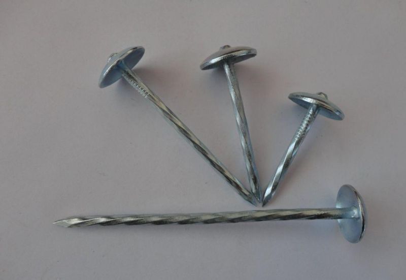 Electro Galvanized Roofing Nail with Spiral Shank in Material Q195