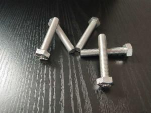 Cross Recess Hexagon Head Screw in Stainless 304