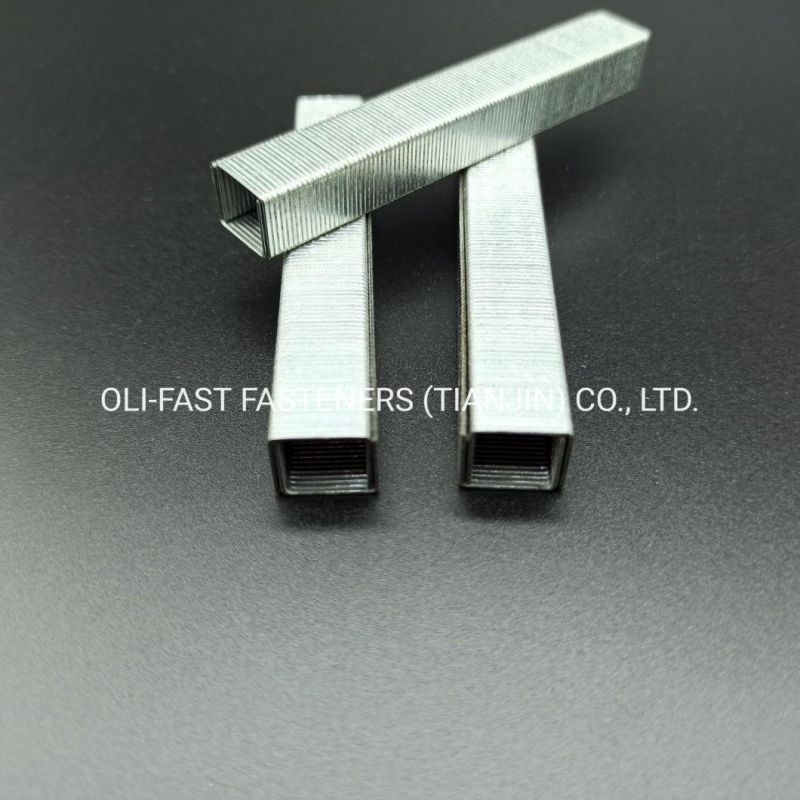 22 Gauge 10f/06 Galvanzied Staples China Stapler Pins Factory