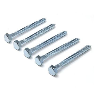 DIN571 Hex Head Stainless Lag Bolts Cartons &amp; Pallets