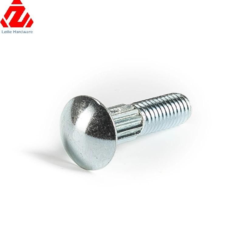 China Stainless Steel Carriage Bolt (SS304 SS316)