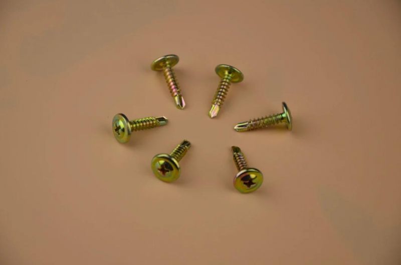Special Screw /Step Screw/Step Bolts