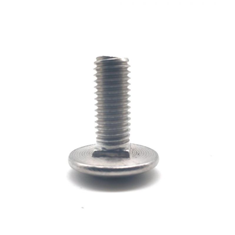 Stainless Steel 304 316 Short Square Neck Carriage Bolts 18-8