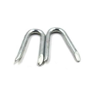 3.80X32mm U Type Fence Staple Steel Nails