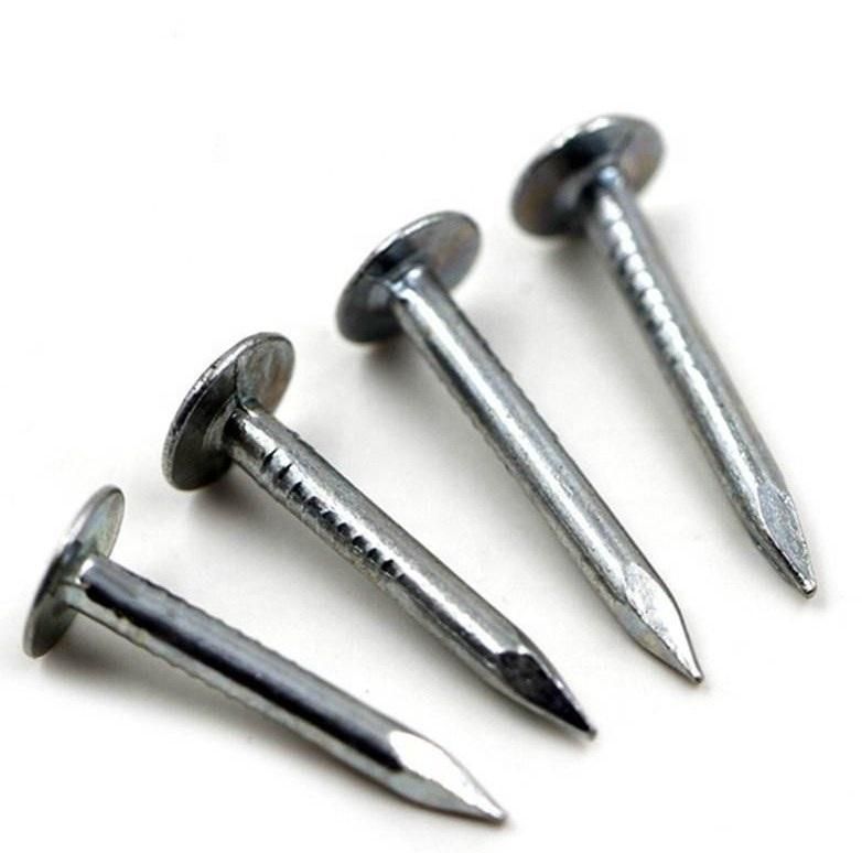 China Nails Factory Top Quality Clout Head Zinc Plated Cupper Nails