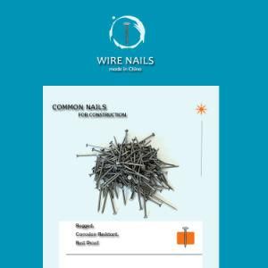 Round Common Iron Wire Nails for Wood