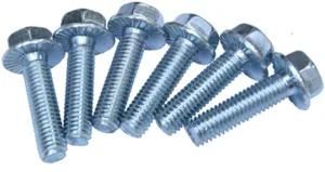 High Quality White Zinc Hex Flange Bolt DIN6921 8.8