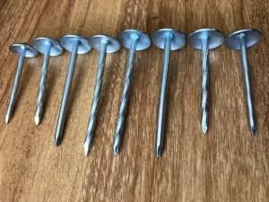 Q195/Q235 Material Roofing Nail Twist Shank Made in China