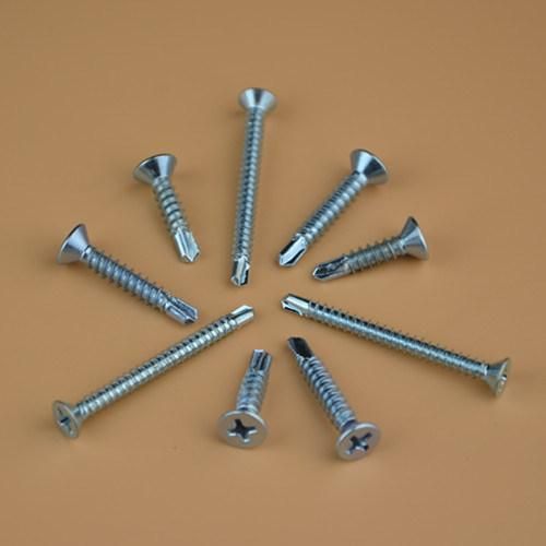 Screw/Fastener/Self Drillling Screw/Self Tapping Screw