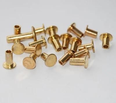 Fricwel Auto Parts Gold Plating Rivet Clutch Disc Clutch Facing Rivet Dfj-Pb