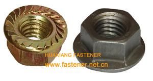 Flange Nut