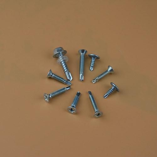 Self Drilling Screw DIN7504n Ss Self Tapping Screw Bimetal Screw