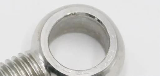 High Quality Fasteners Stainless Steel Drop Froged Casting DIN580 Lifting Eye Bolts