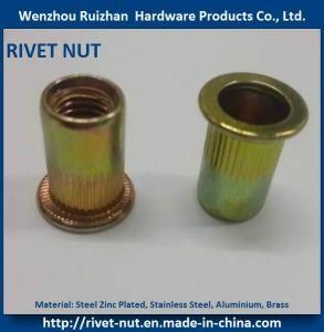 Flange Head Rivet Nut