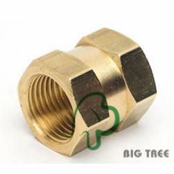 Brass Female Coupling/Connector NPT