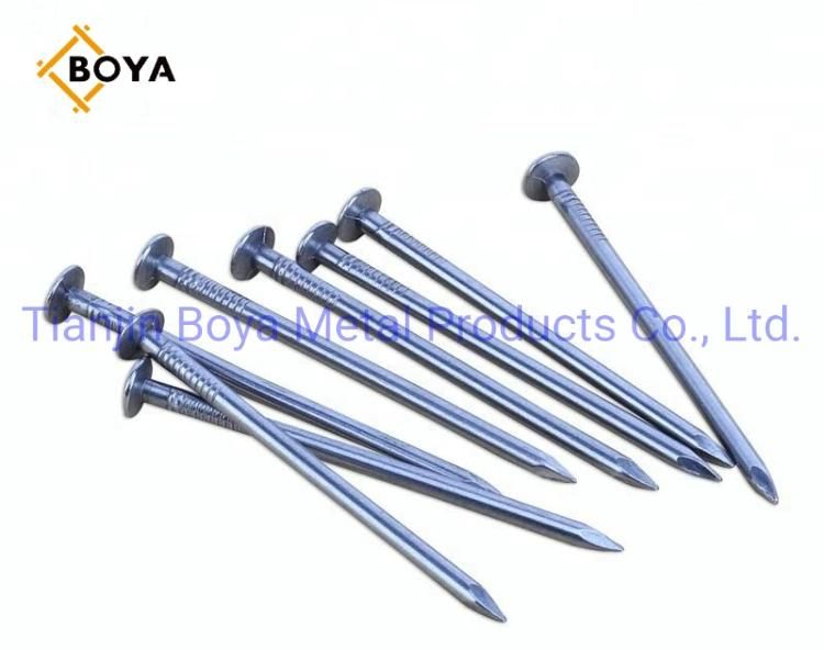 Factory Price Common Nail/ Iron Nail/Wood Nail/Building Nail/Concrete Nail/Roofing Nail