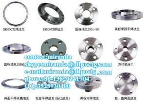 Quality Pipe Flange API Flange Supplier