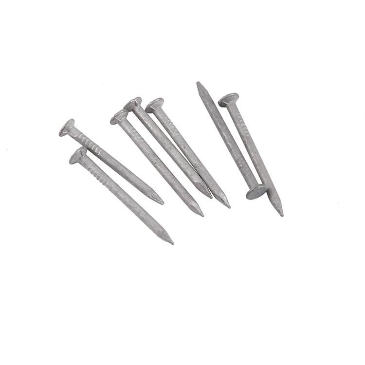 2021 Hot Sale Cheap Price Steel Nails/Common Nails From China Factory