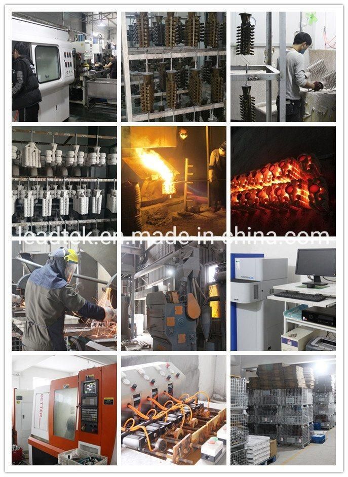 Ss Stainless Steel Male Hex Drain Plug Manufacture