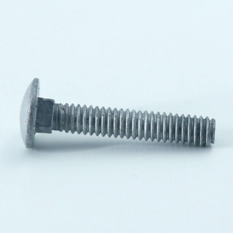 Carriage Bolt Carriage Bolts HDG/Zp/Plain and Stainless Steel Carriage Bolt DIN603 with Nut