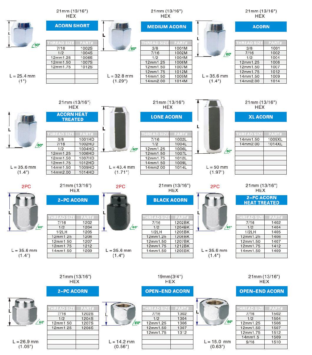 Bolt Nut for Car and Motor Accessory