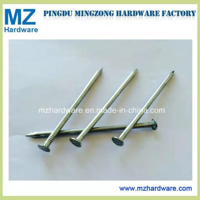 Flat Head Nail Polished Common Nail Round Wire Galvanized Common Iron Nail